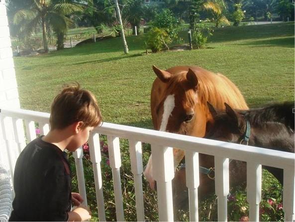 Riders Resort Kulai Luaran gambar