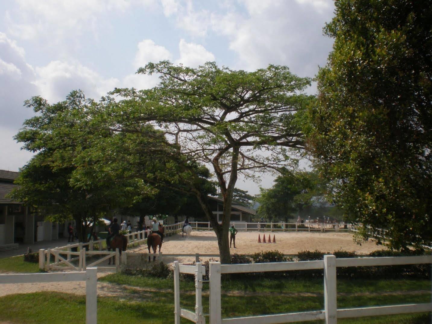 Riders Resort Kulai Luaran gambar