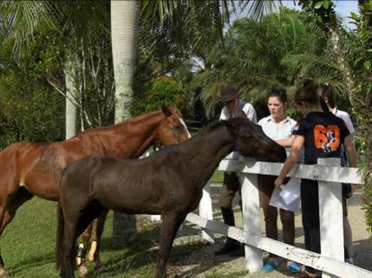 Riders Resort Kulai Luaran gambar